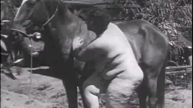 Esposa joven porrnos de pelo negro recibe la primera polla blanca enorme en el frente